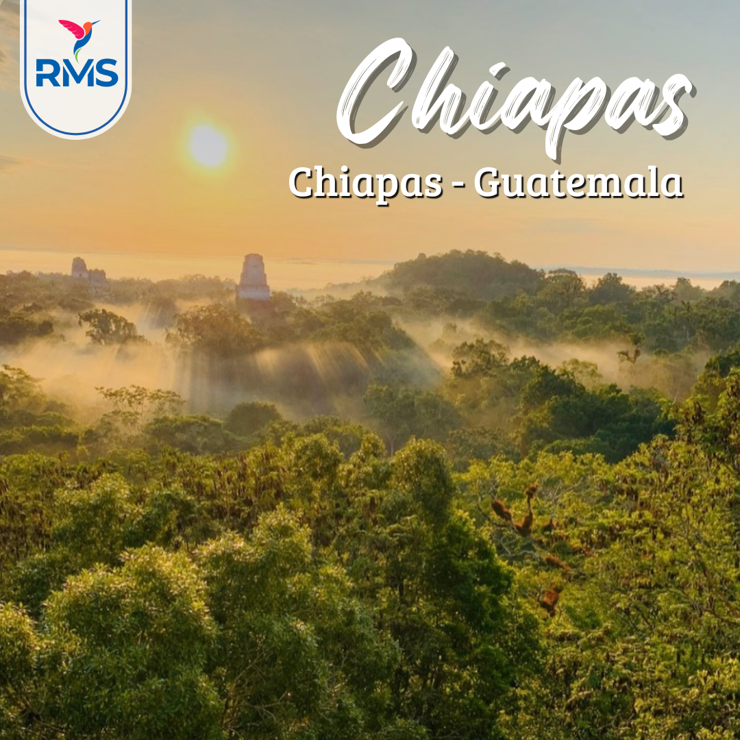 Tikal Guatemala