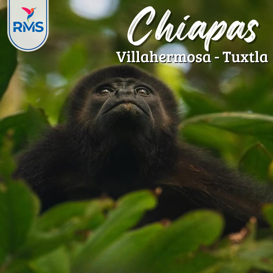 Villahermosa - Tuxtla