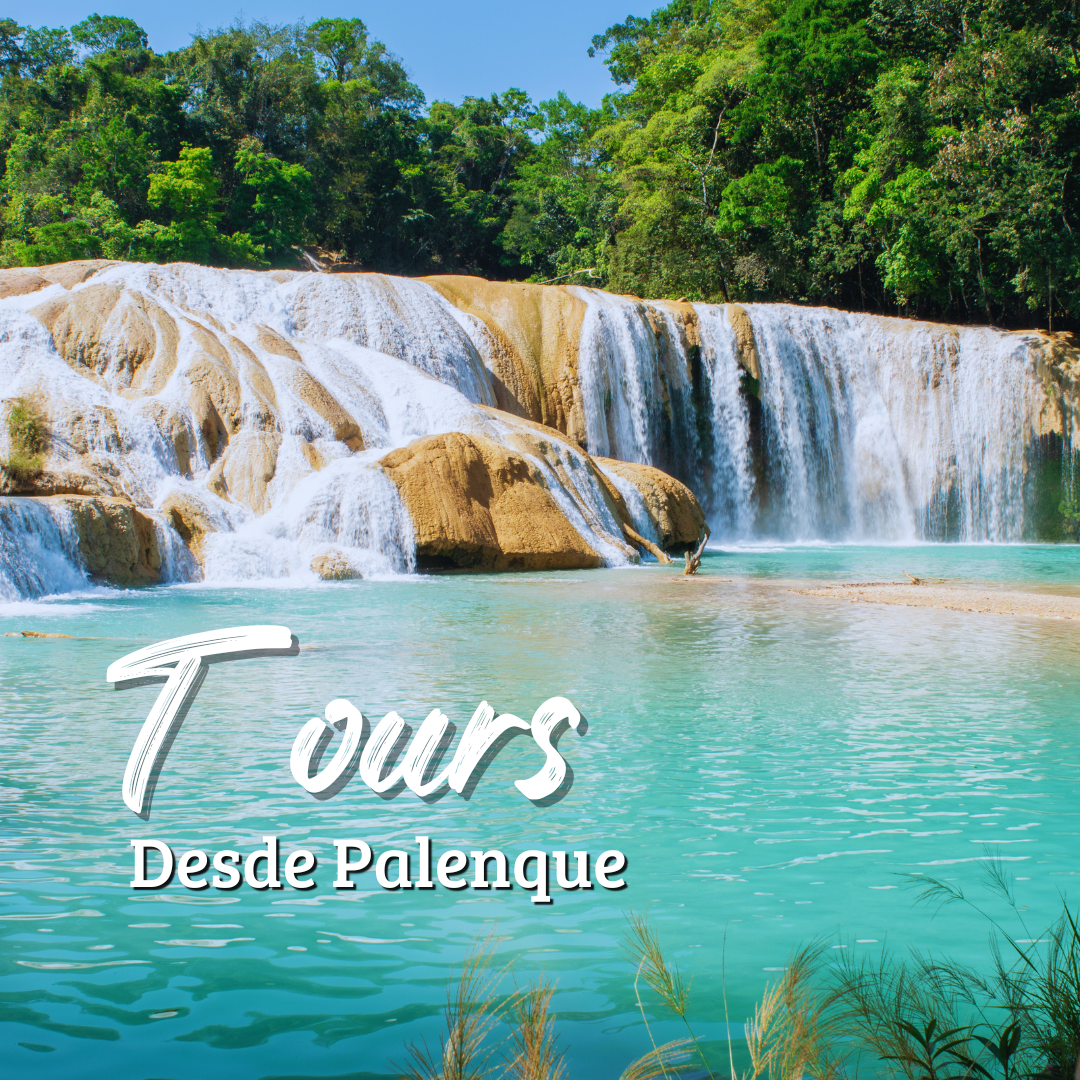 Tours desde Palenque
