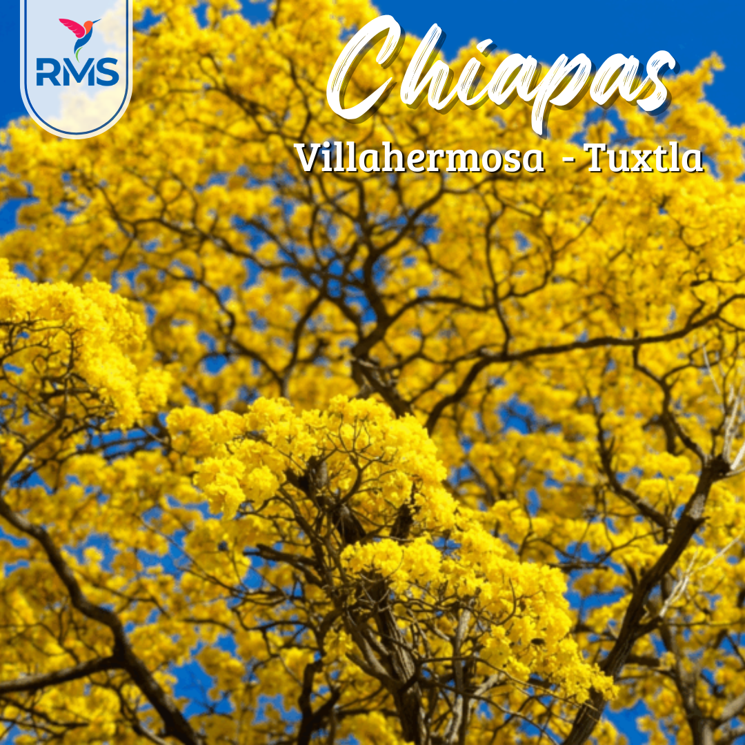 Villahermosa - Tuxtla Gutiérrez 2x1