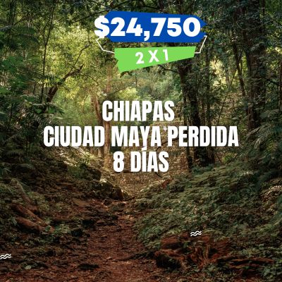 CHIAPAS CIUDAD MAYA PERDIDA SELVA 8 DIAS