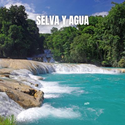 SELVA Y AGUA