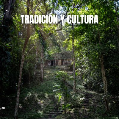 TRADICION Y CULTURA