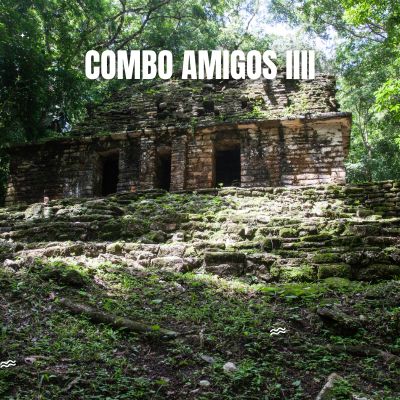 COMBO AMIGO IIII