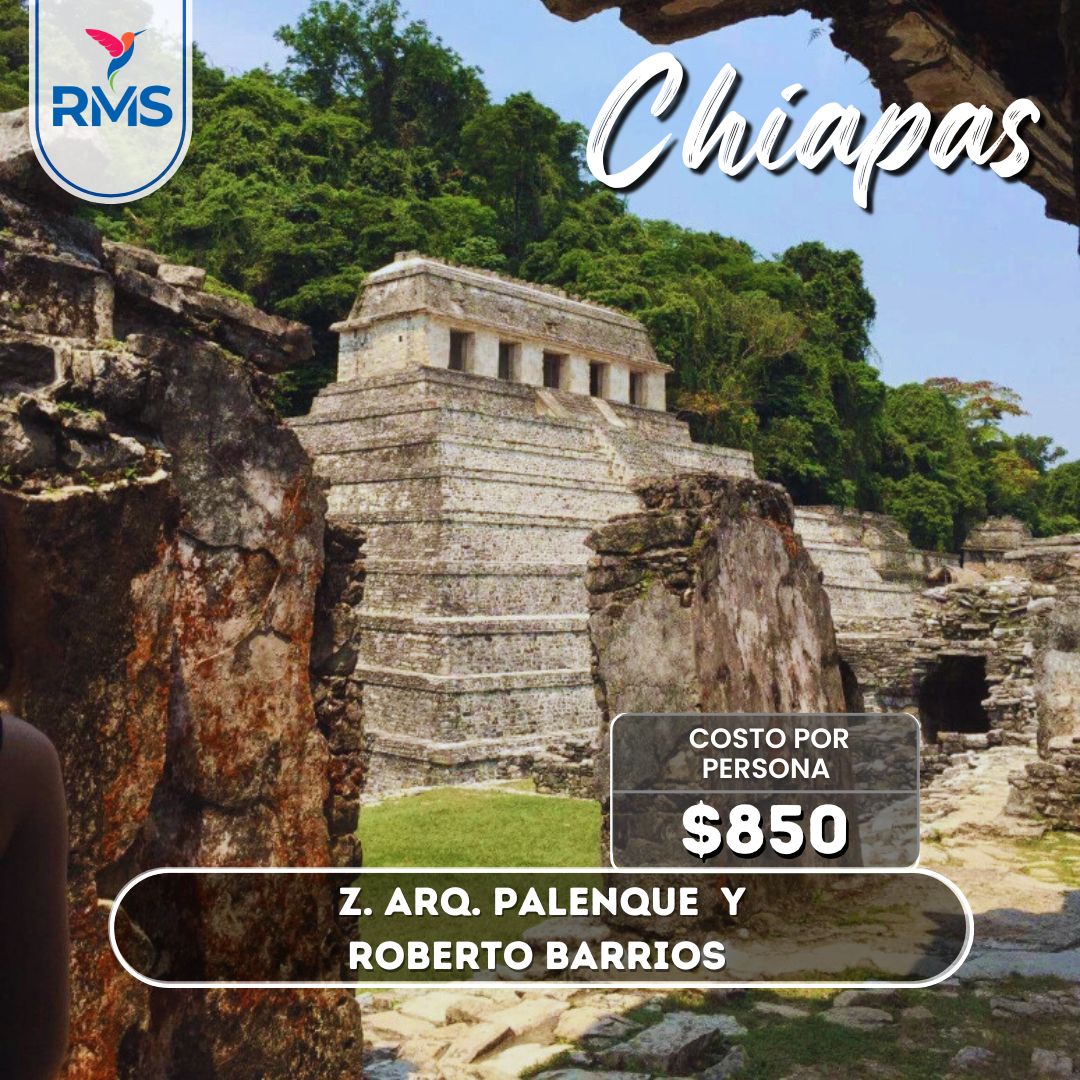 Z.A. de Palenque y Roberto Barrios