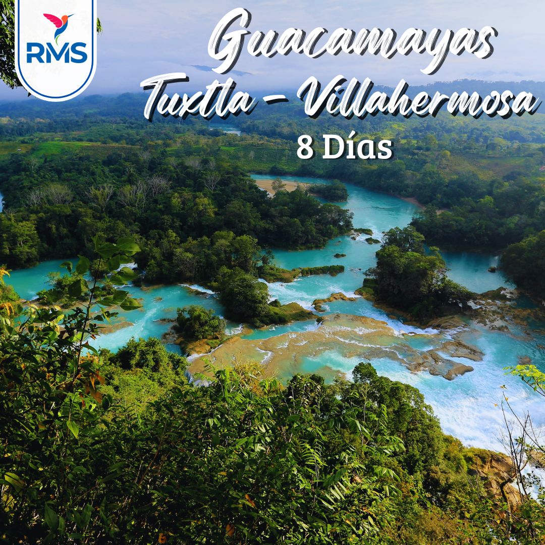 GUACAMAYAS 8 DIAS, TGZ-VHSA 