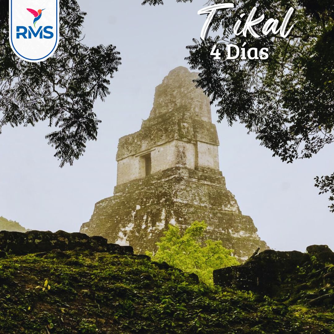 4DIAS TIKAL