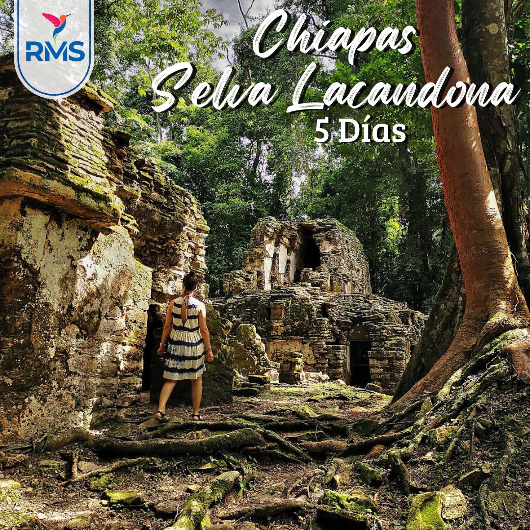 CHIAPAS SELVA LACANDONA 5 DIAS & 4 NOCHES
