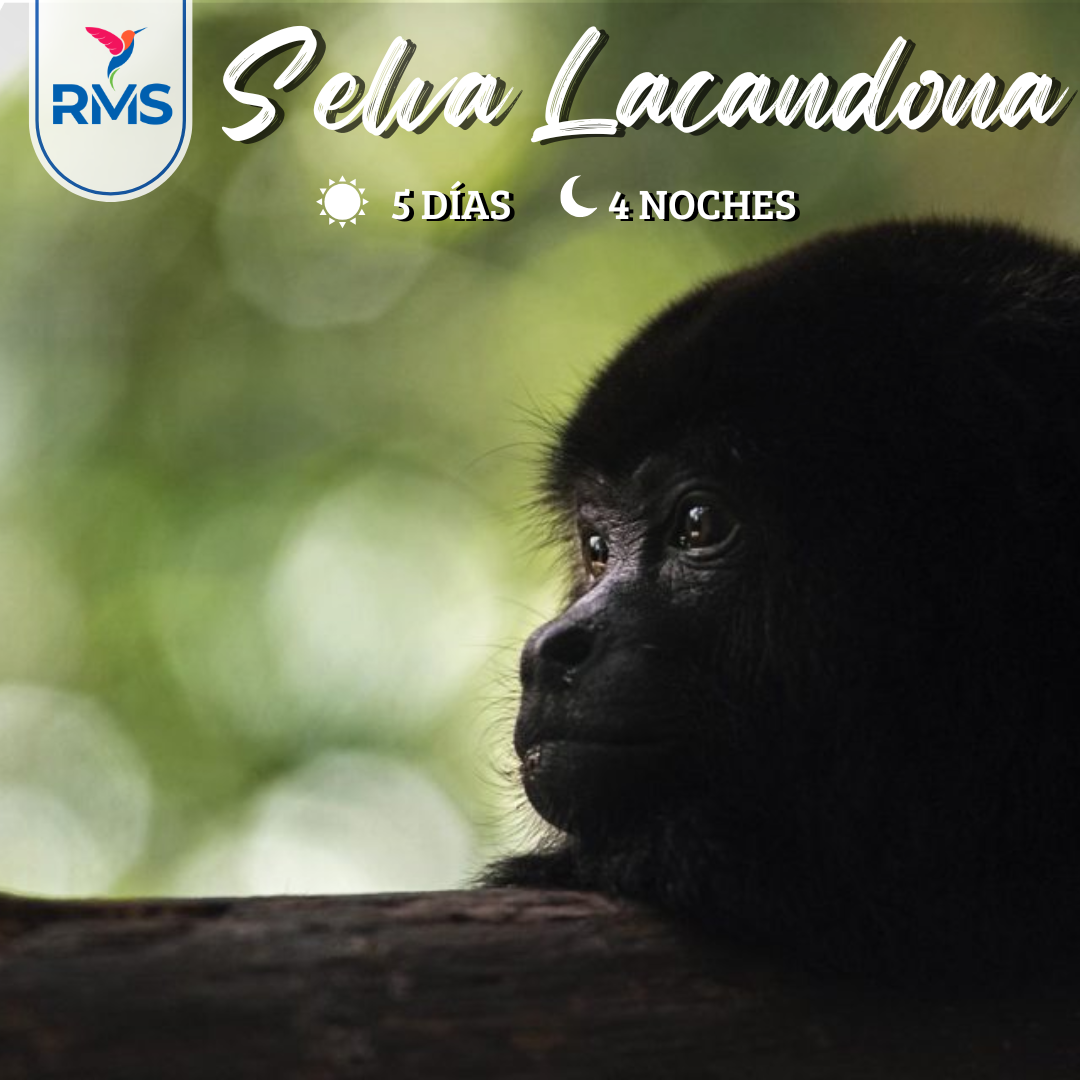 SELVA LACANDONA 5 DIAS