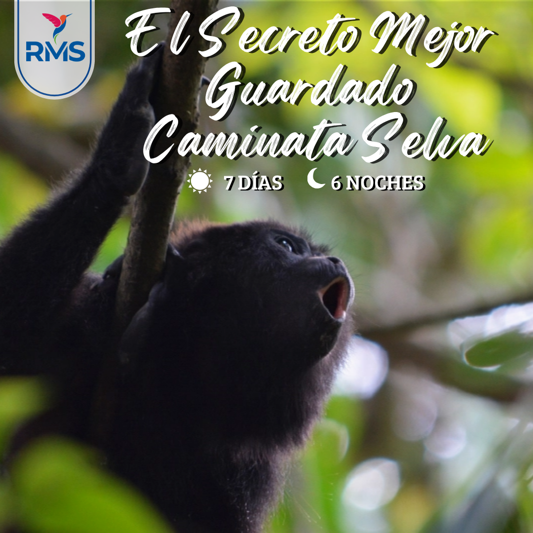 EL SECRETO MEJOR GUARDADO CAMINATA SELVA 7 DÍAS