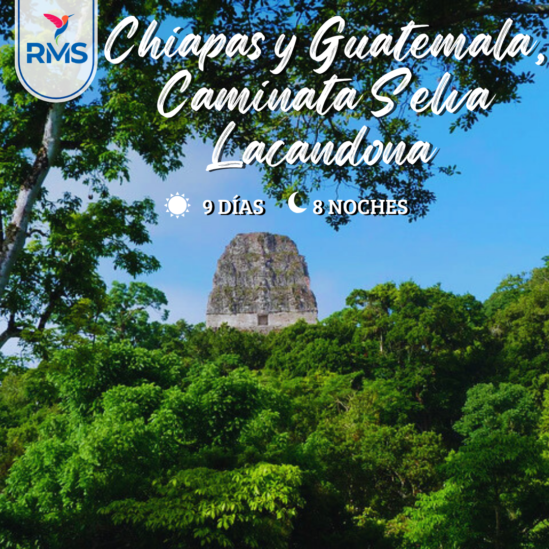 CHIAPAS Y GUATEMALA, CAMINATA SELVA LACANDONA 9 DIAS & 8 NOCHES