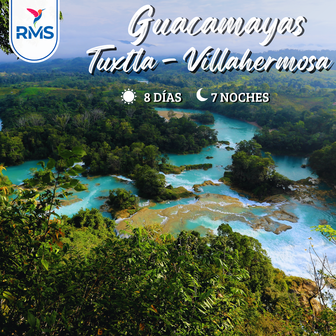 GUACAMAYAS 8 DIAS, TGZ-VHSA 