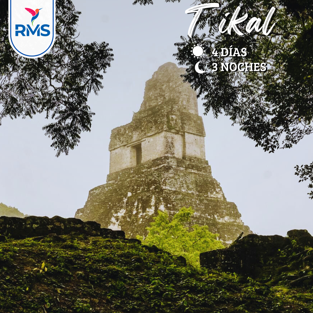 4DIAS TIKAL