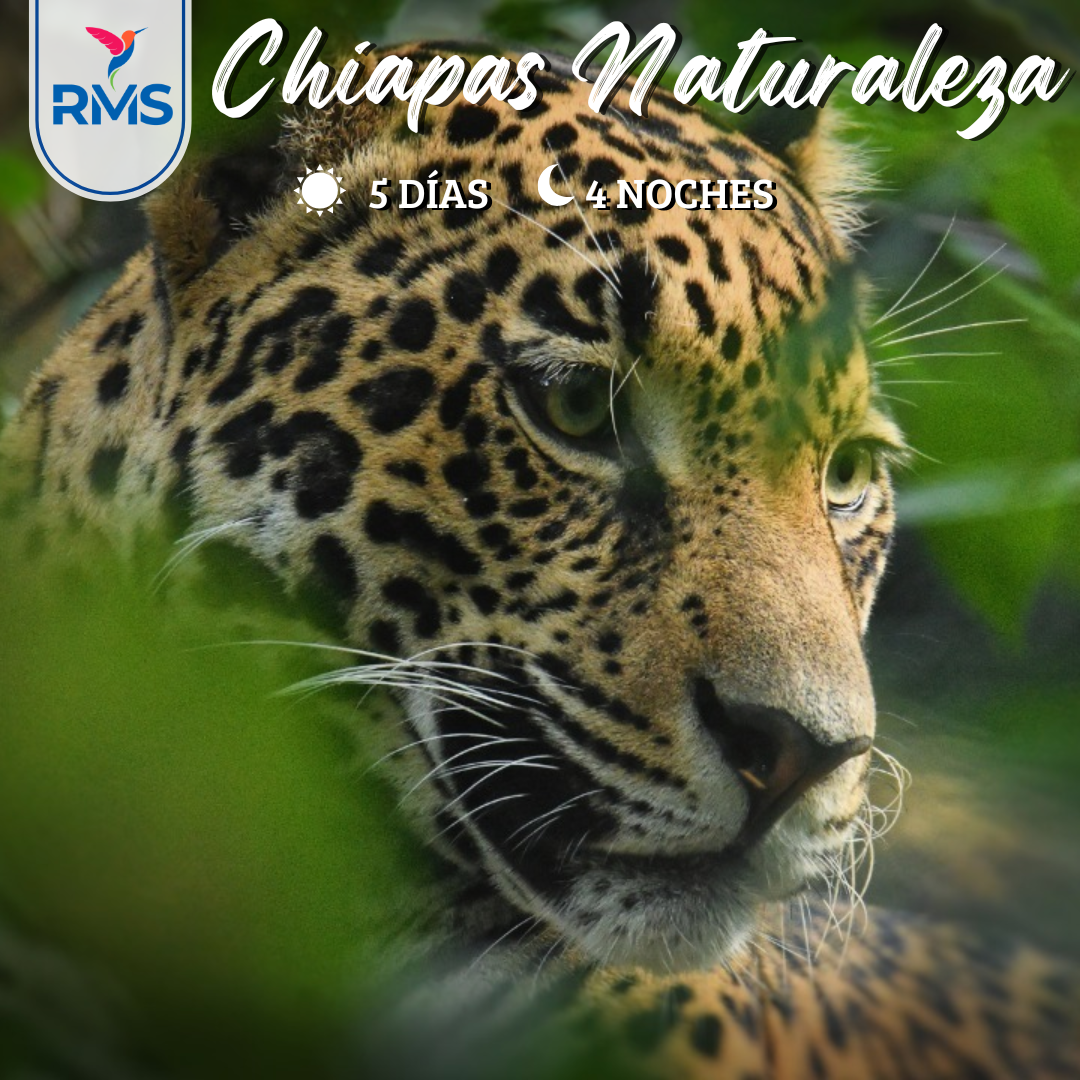 CHIAPAS NATURALEZA 5 & 4 NOCHES