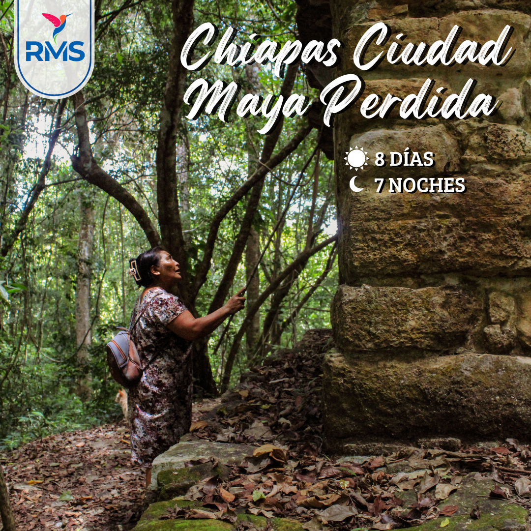 CHIAPAS CIUDAD MAYA PERDIDA SELVA 8 DIAS