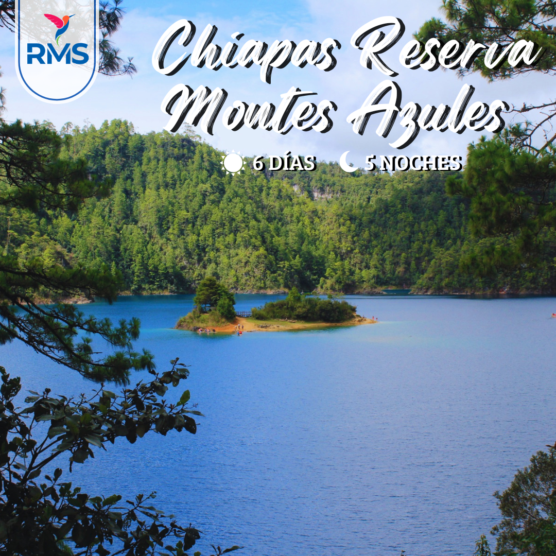 CHIAPAS RESERVA MONTES AZULES 6 DIAS 2X1
