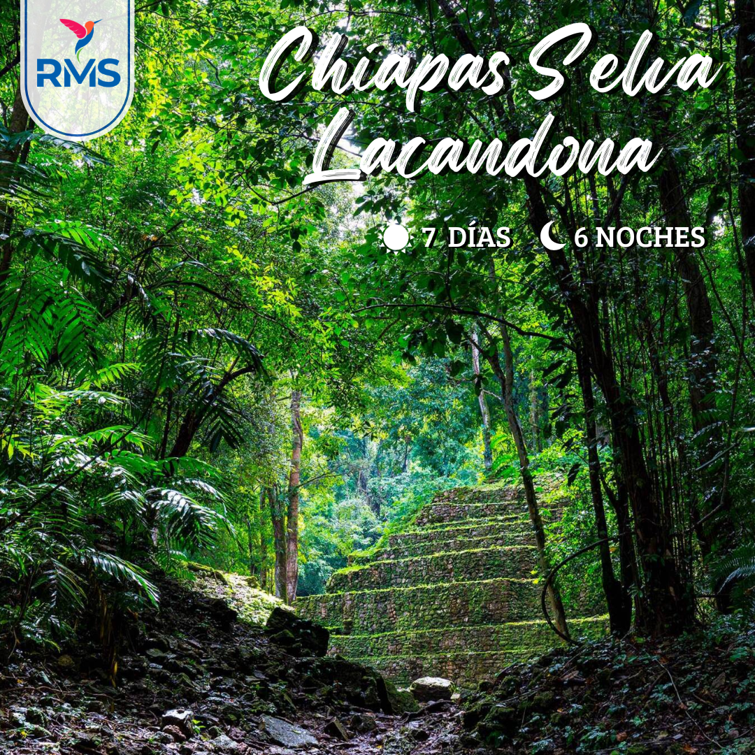 CHIAPAS SELVA LACANDONA 7 DIAS 2X1