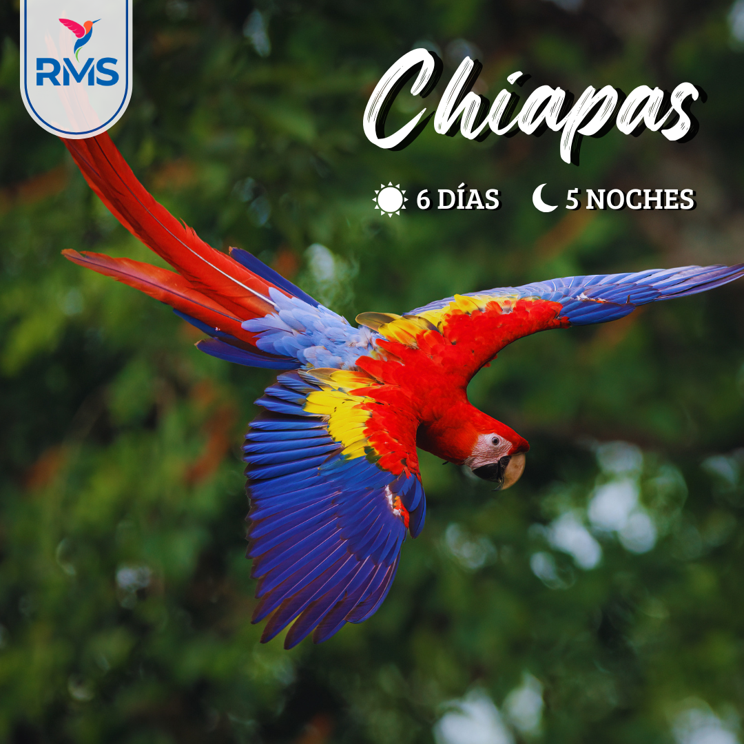 CHIAPAS 6 DIAS 2X1