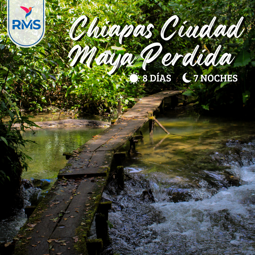 CHIAPAS CIUDAD MAYA PERDIDA SELVA 8 DIAS